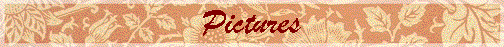 Pictures